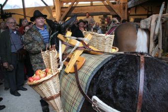 pressée à l'ancienne transport des pommes