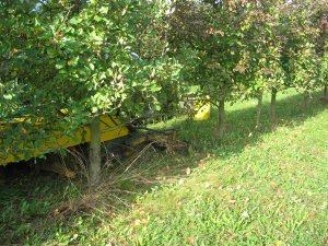 cidre du Pays d'Othe