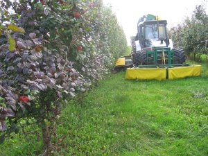 producteur de cidre