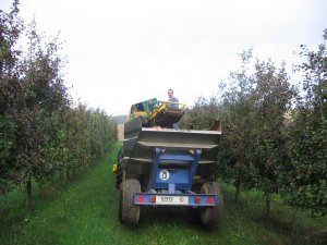 cidre du Pays d'Othe