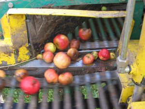 cidre du Pays d'Othe